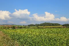 00 3088 Oberpfälzer Seenland