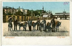 00391 Heringsdorf 1898 Eselgruppe Brück & Sohn Kunstverlag