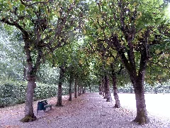 01.08.2015. Schleißheim, Oberschleißheim, Deutschland Panoramio (10)