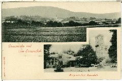 01099 Cunewalde 1899 Blick Nach Dem Czorneboh Bergwirtschaft Brück & Sohn Kunstverlag