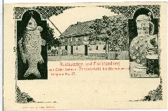 01993 Schönbrunn 1901 Restauration Und Fischhandlung Brück & Sohn Kunstverlag