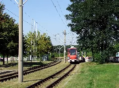 024 Tram 138 Departing Sportpalast