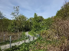 039 Blick Von Der Kamelbrücke Bei Arnsberg Auf Den Weg "Auf Den Kämpen" Der Unterhalb Der Staustufe