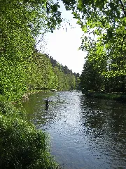 070501 Ilz Kalteneck Fuersteneck 2