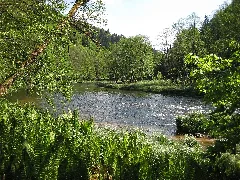070501 Ilz Kalteneck Fuersteneck 3