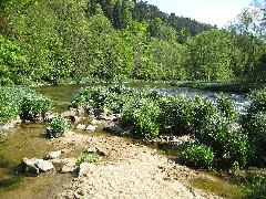 070501 Ilz Kalteneck Fuersteneck 4