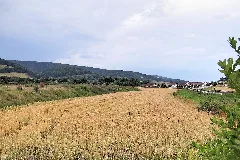 07407 Uhlstädt Kirchhasel, Germany Panoramio (2)