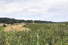 07407 Uhlstädt Kirchhasel, Germany Panoramio (3)