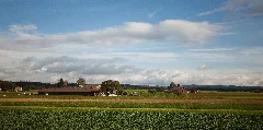 091007 Switzerland Bern 79