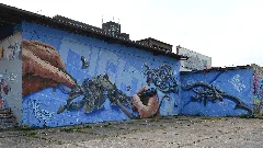 0X Aerosol Md 1