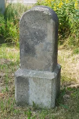 0X Kgl Saechs Gr Tanne 2