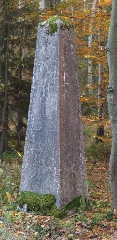 0X Stein Trocken Wolf 1