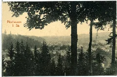 10676 Neuhausen 1909 Blick Auf Neuhausen Brück & Sohn Kunstverlag