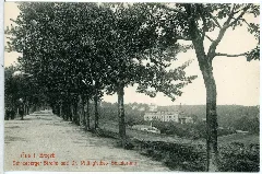 10772 Aue 1909 Schneeberger Straße Und D. Pillingsches Sanatorium Brück & Sohn Kunstverlag