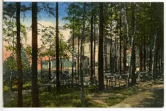 10897 Kamenz 1909 Hotel Hutberg Brück & Sohn Kunstverlag