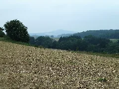 11 Grundsheim
