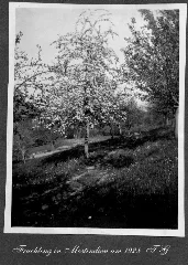 116 Fruehling In Mostindien Um 1928 Tg (1370449274)