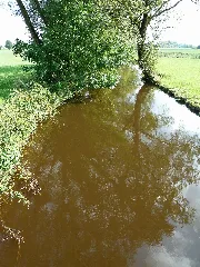 135 Donauwiesen