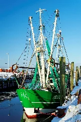 1410 Krabbenkutter Neuharlingersiel Hafen