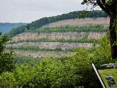 1902 Begann Das Zementwerk Nürtingen Am Hörnle Mit Dem Abbau Von Kalkstein Und Mergel. Ende Der 1970Er Jahre Wurde Der Aufgelassene Steinbruch Rekultiviert, Zur Optischen Gestaltung Der Bis Zu 130 Meter Hohen Felswan Panoramio (1)