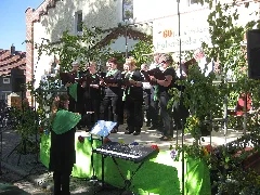 20. Amtssängertreffen In Hohenbocka, Auftritt Gemischter Chor Schwarzbach, 01