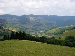 2003 08 16 08 22 Schwarzwald 170 Belchen (4419227111)