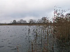 2004 01 01 Kleiner Linowsee105