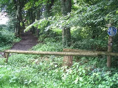 20040727 0942 1128 Spenge Eingang Zum Katzenholz Am Tannenweg Dem 'Landratsweg'