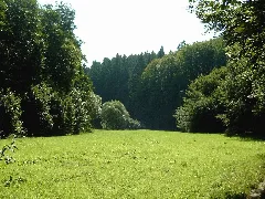 2005 Vischelbachtal 1