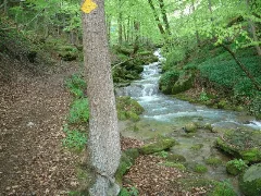 20050508S017 Muelibach
