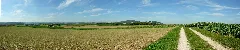 2006 09 09 Hegau 02