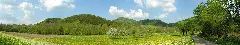 2007 04 27 Bei Achdorf 2
