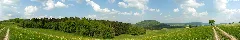 2007 04 27 Bei Achdorf