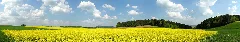 2007 04 27 Lausheim Achdorf