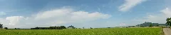 2007 06 14 Bei Weil Im Hegau 02