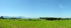 2007 06 19 Hausen Am Albis