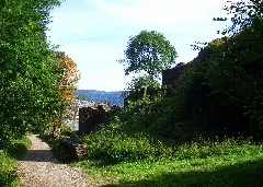200709201335 Neckarsteinach