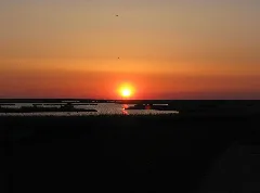 2008 05 10 Blick In Den Beltringharder Koog Bei Sonnenuntergang(Img 0746)