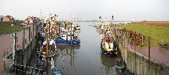 20080926 Harbour Of Ditzum (D)