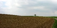 2009 04 13 Zwischen Lausheim Und Aachdorf