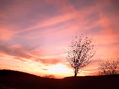 2009 11 19 Altenbeken Sonnenuntergang 2
