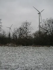 20090201 L Xl Wiki 1352