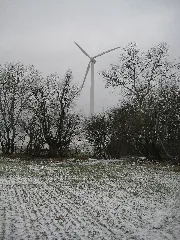 20090201 L Xl Wiki 1354