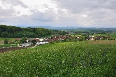 2010 05 14 15 14 26 Switzerland Zurich Wildensbuch