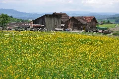2010 05 14 15 20 51 Switzerland Zurich Wildensbuch