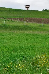2010 05 14 15 25 26 Switzerland Zurich Wildensbuch