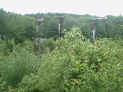 2010 06 01 Langeland 07
