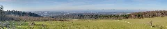 2011 02 06 Pano Mt Renaud 1