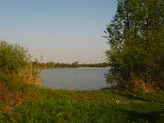 2011 04 17 184047 49,092699, 8,288385.Jpg Panoramio