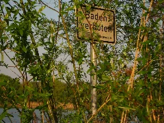 2011 04 17 184239 49,091996, 8,288148.Jpg Panoramio